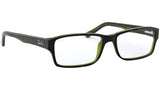 RB5169 top havana on green transparent