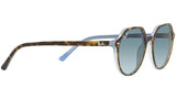 Thalia RB2195 13163M havana on light blue