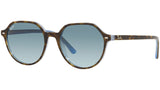 Thalia RB2195 13163M havana on light blue