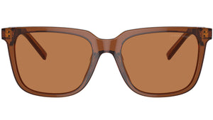 AR 8202U 604973 Brown