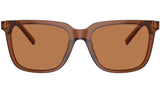 AR 8202U 604973 Brown