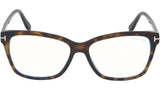 FT5597-B 052 Dark Havana