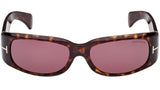 Corey FT1064 52S Tortoise