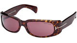 Corey FT1064 52S Tortoise