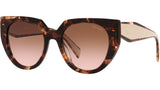 PR 14WS caramel tortoise and powder